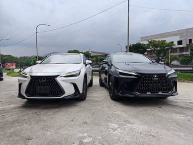Lexus NX 250 LUXURY in KL City, KUL