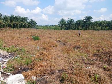 Agricultural Land in Banting, SGR