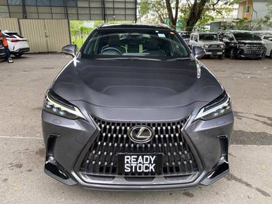 Lexus NX 250 LUXURY in City Centre, KUL