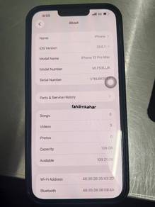 Iphone 13 pro max