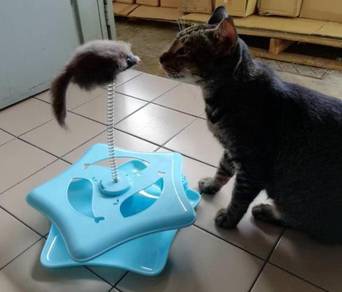Pentagonal Cat Toy with Spring Rat and Ringin Ball