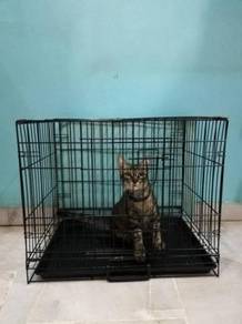 6304B Sangkar Kucing Cat Cage 23.5"Lx17"Wx19.5L