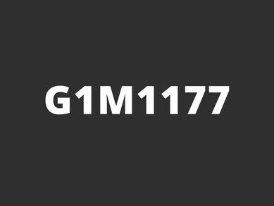G1M1177