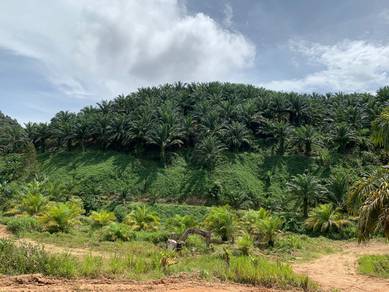Agricultural Land in Tambunan, SBH