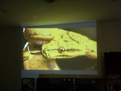 View Sonic Projector 