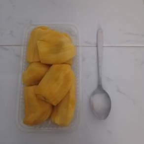 pokok nangka jackfruit plant