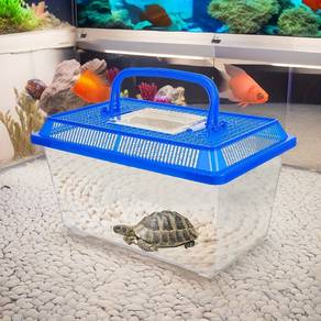 tortoise tank Sulcata Kura Kura