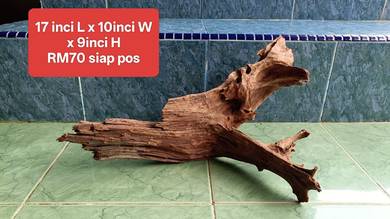 kayu hiasan aquarium bercabang driftwood