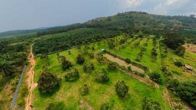 Agricultural Land in Pagoh, JHR