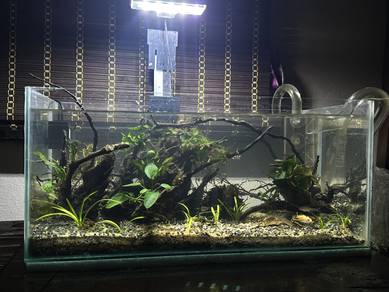 aquascape for sell full set