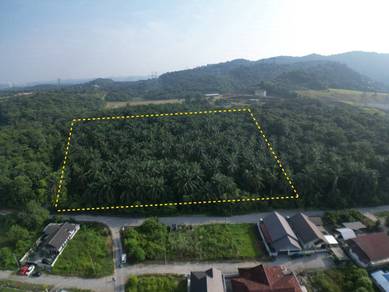 Agricultural Land in Bangi, SGR