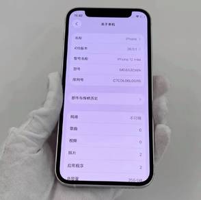 iPhone 12 mini 256GB