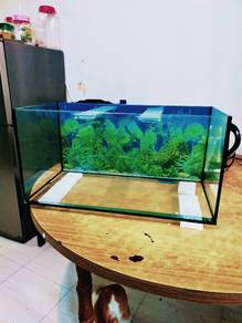 2ft aquarium.