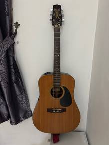 takamine acoustic guitar