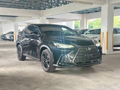 Lexus NX 250 LUXURY in Chan Sow Lin, KUL