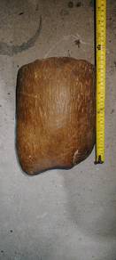 Batu Nibong Coklat 