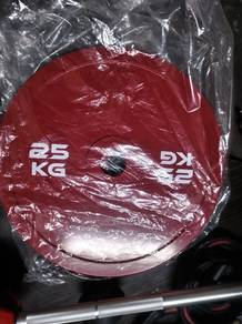 weight plate 25kg x2 