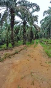 Agricultural Land in Tampin, NSN