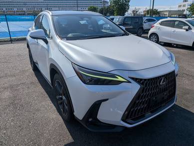 Lexus NX 250 LUXURY in Taman Tun Dr Ismail, KUL
