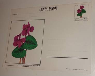Turkiye Postcard 1988 Siklamen Flower