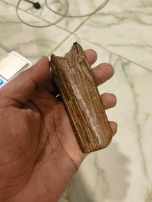 kayu gaharu liar/wild agarwood