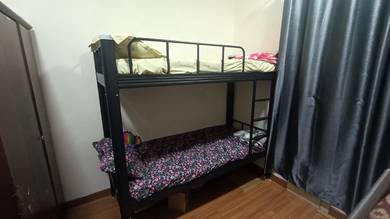 double decker bunk bad