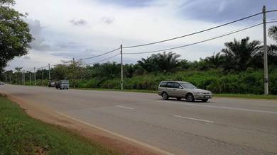 Agricultural Land in Yong Peng, JHR