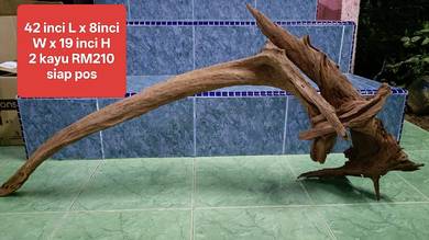 kayu hiasan aquarium CURVE DRIFTWOOD BESAR