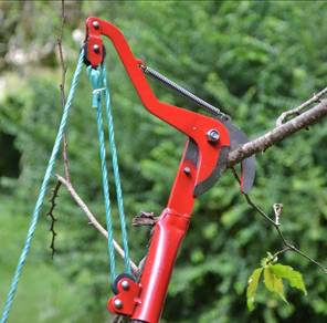 Gunting rambutan (Red) / High Height Pruning Shear