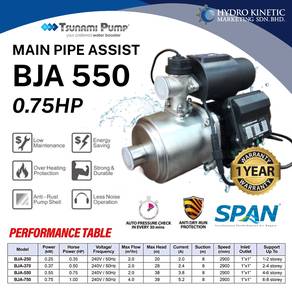 Tsunami BJA-550 (0.75HP) Home Automatic Water Pump