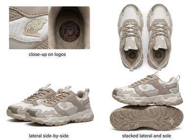 Camel Sport Shoes