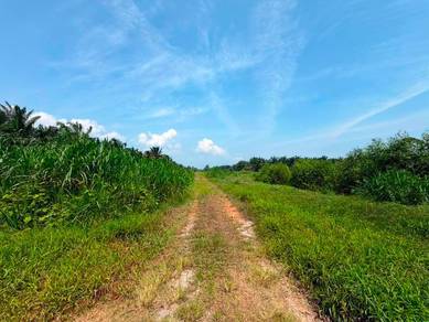 Agricultural Land in Benut, JHR