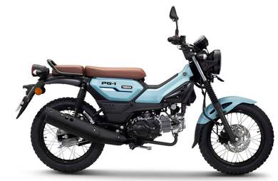 Yamaha PG-1