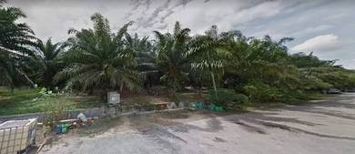Agricultural Land in Jasin, MLK