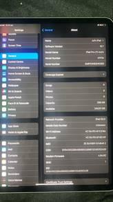 IPAD PRO (11 inch)