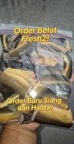 Belut Sawah Murah