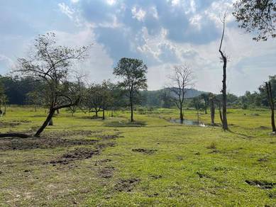 Agricultural Land in Ulu Yam, SGR