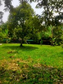 Agricultural Land in Pekan, PHG