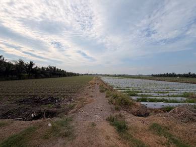 Agricultural Land in Tanjong Karang, SGR