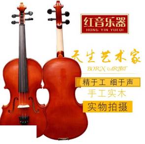 Violin musical instrument beginners student adult