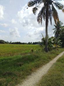 Agricultural Land in Tumpat, KTN