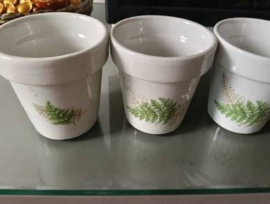 Fern design ceramic plant holder