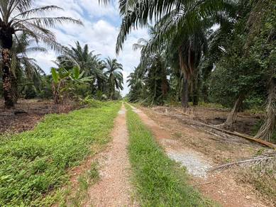 Agricultural Land in Klang, SGR