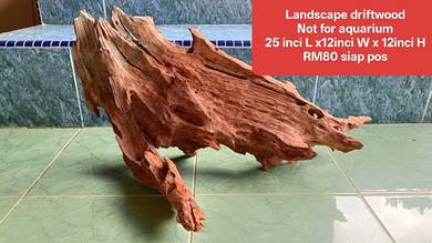 Malaysian driftwood khas untuk LANDSCAPE