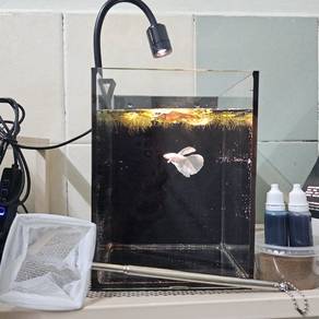 Aquarium Full set Akuarium betta fish
