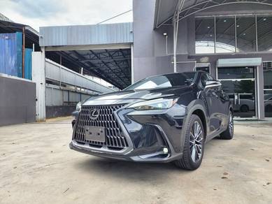 Lexus NX 250 BASE GRADE in Bandar Kinrara, SGR