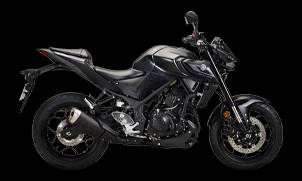Yamaha MT250