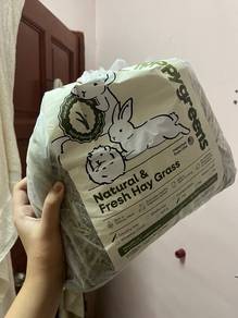 Guinea pig/hamster