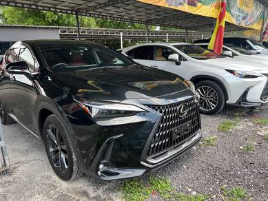 Lexus NX 250 LUXURY in City Centre, KUL