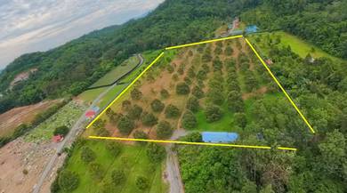 Agricultural Land in Batang Kali, SGR